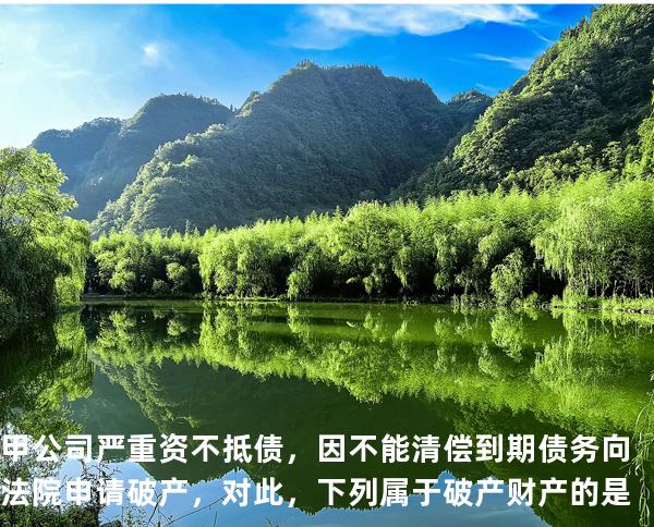 甲公司严重资不抵债，因不能清偿到期债务向法院申请破产，对此，下列属于破产财产的是