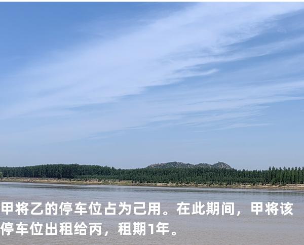 甲将乙的停车位占为己用。在此期间，甲将该停车位出租给丙，租期 1 年。