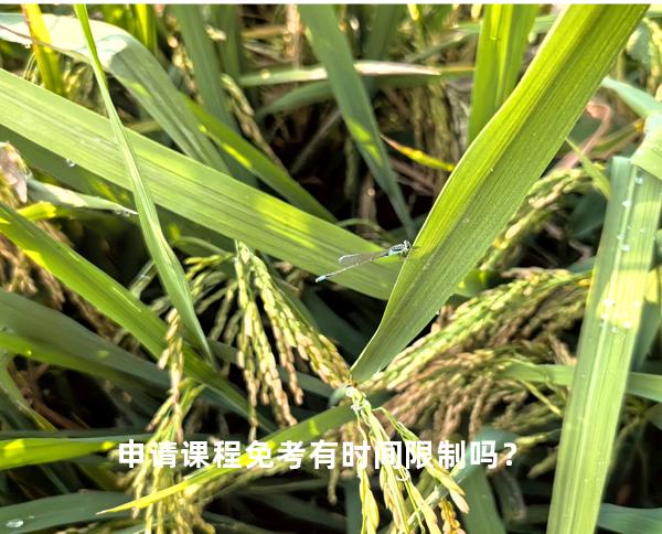 申请课程免考有时间限制吗？