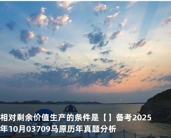 相对剩余价值生产的条件是【】备考2025年10月 03709马原   历年真题分析
