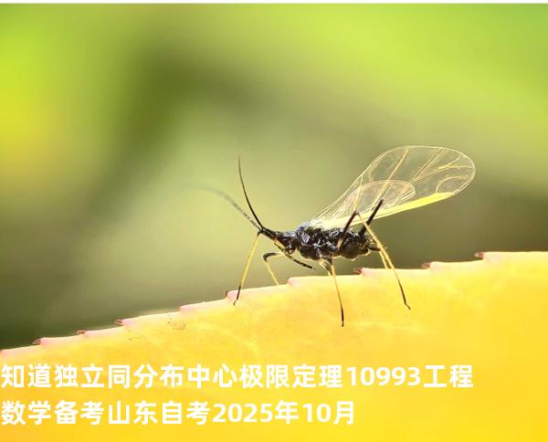 知道独立同分布中心极限定理10993工程数学 备考山东自考2025年10月