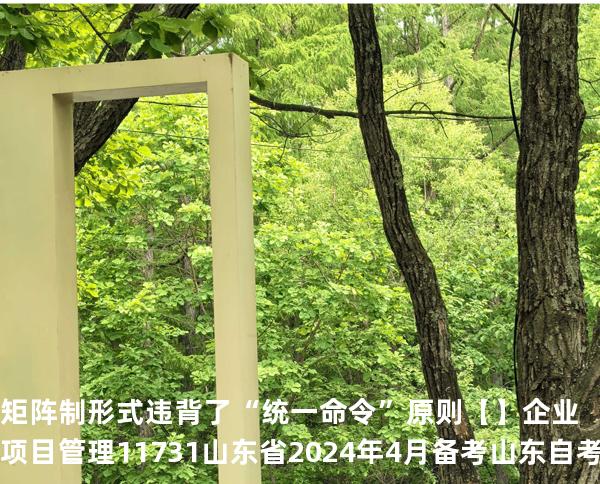 矩阵制形式违背了“统一命令”原则【】企业项目管理 11731 山东省2024年4月 备考山东自考