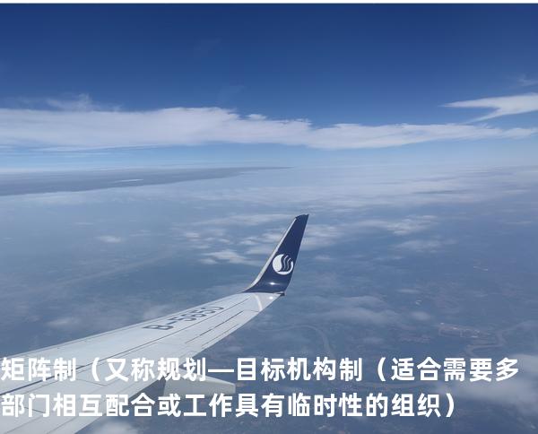 矩阵制 （又称规划—目标机构制（适合需要多部门相互配合或工作具有临时性的 组织）