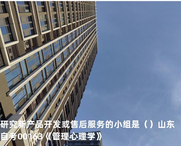研究新产品开发或售后服务的小组是（ ）  山东自考00163《管理心理学》