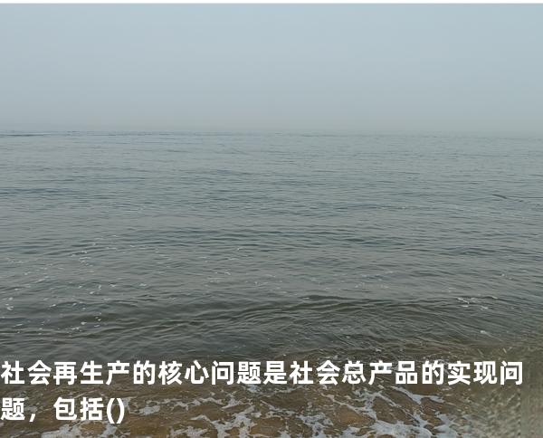 社会再生产的核心问题是社会总产品的实现问题，包括( )