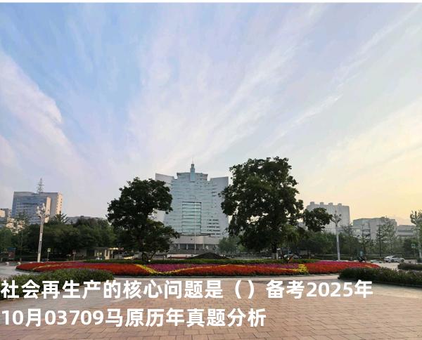 社会再生产的核心问题是（ ）备考2025年10月 03709马原   历年真题分析