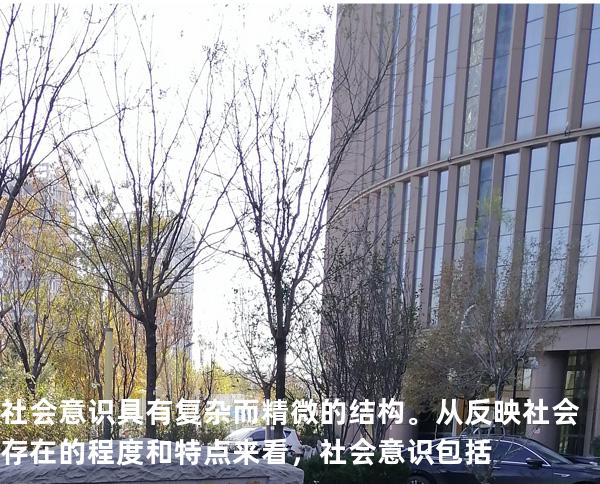 社会意识具有复杂而精微的结构。从反映社会存在的程度和特点来看，社会意识包括