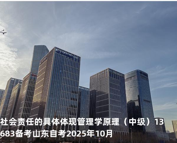 社会责任的具体体现 管理学原理（中级）13683备考山东自考2025年10月