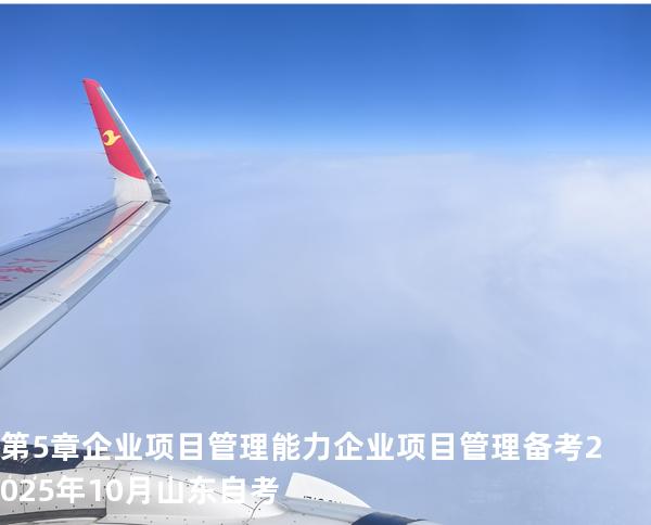 第5章  企业项目管理能力企业项目管理 备考2025年10月山东自考 