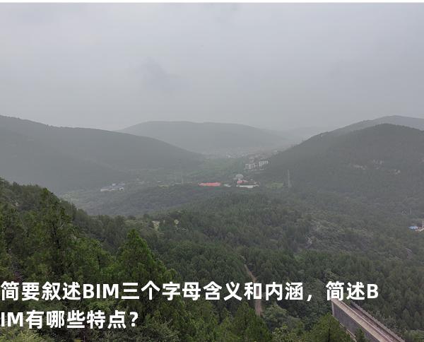 简要叙述 BIM 三个字母含义和内涵，简述 BIM 有哪些特点？