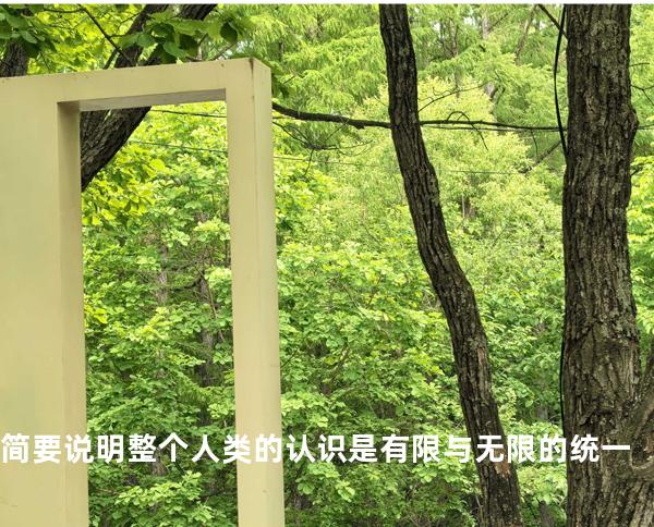 简要说明整个人类的认识是有限与无限的统一