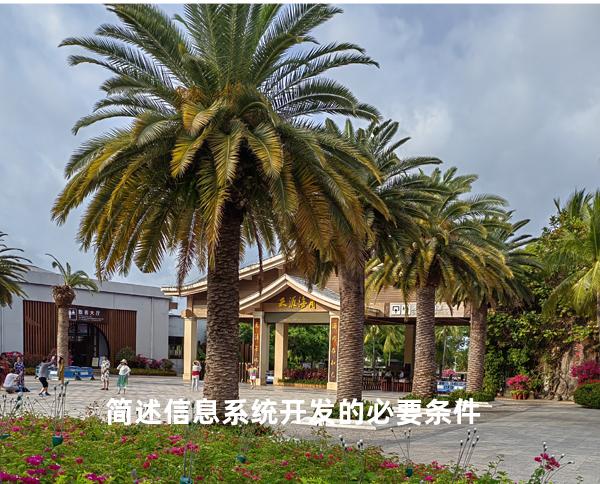 简述信息系统开发的必要条件