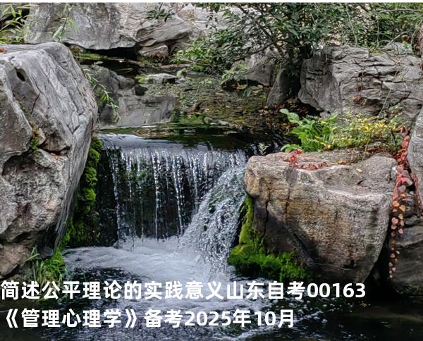简述公平理论的实践意义  山东自考00163《管理心理学》备考2025年10月
