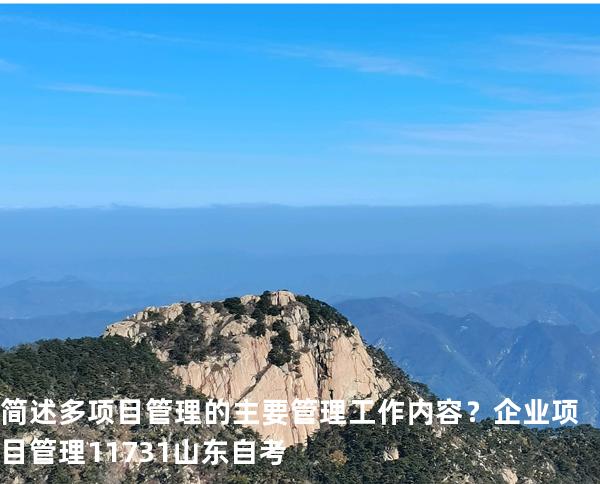 简述多项目管理的主要管理工作内容？企业项目管理 11731 山东自考