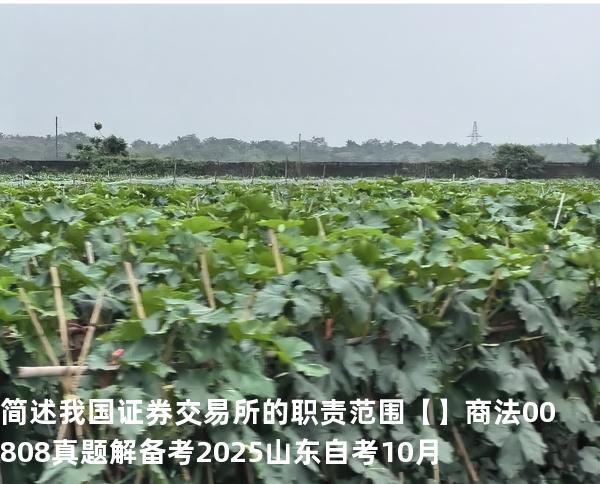 简述我国证券交易所的职责范围【】商法 00808 真题解 备考2025山东自考10月