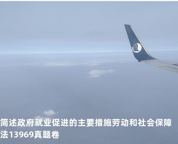  简述政府就业促进的主要措施  劳动和社会保障法   13969 真题卷