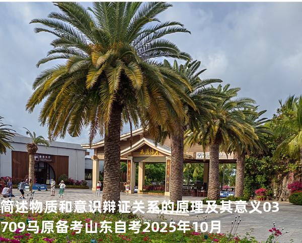 简述物质和意识辩证关系的原理及其意义 03709 马原 备考山东自考2025年10月
