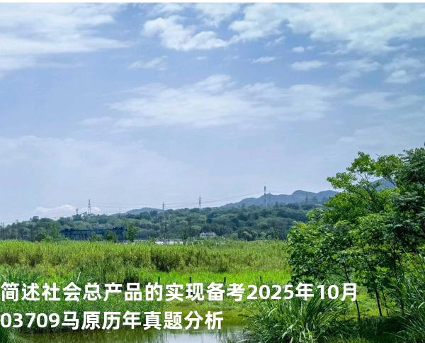 简述社会总产品的实现 备考2025年10月 03709马原   历年真题分析