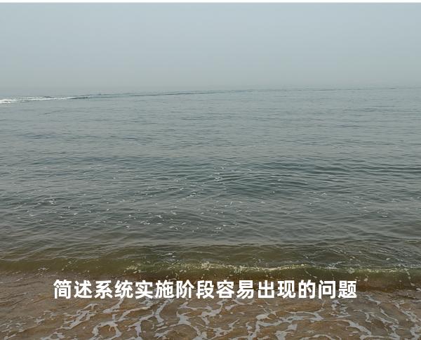 简述系统实施阶段容易出现的问题