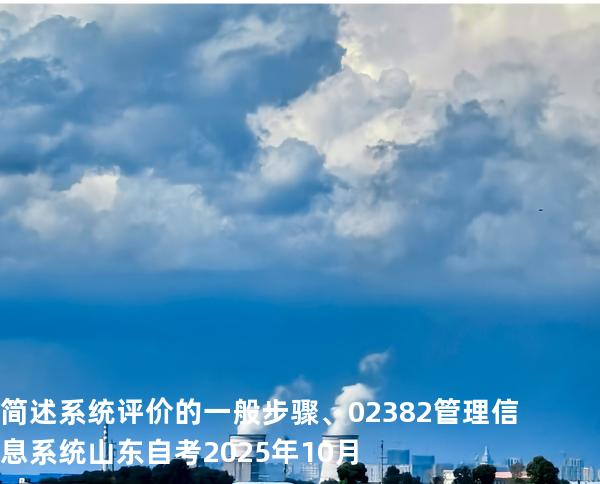 简述系统评价的一般步骤、  02382管理信息系统  山东自考2025年10月