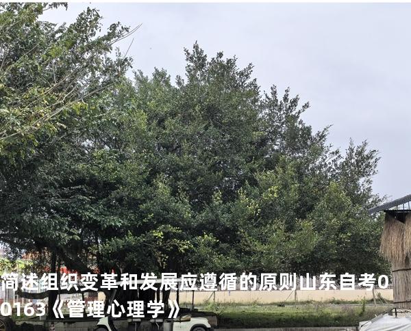 简述组织变革和发展应遵循的原则  山东自考00163《管理心理学》