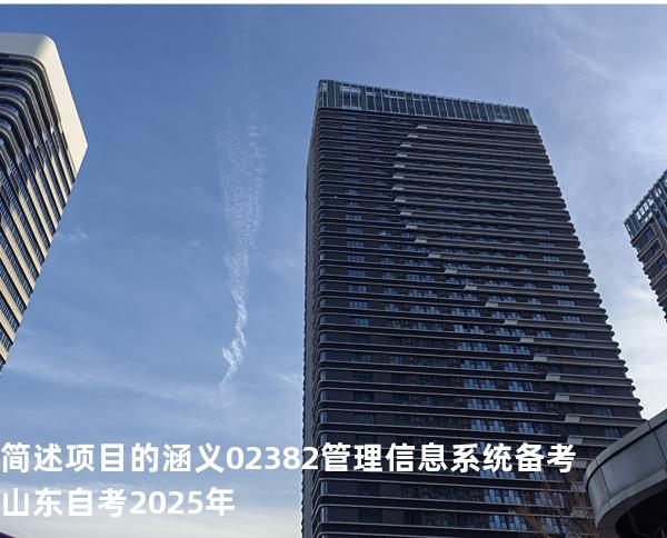 简述项目的涵义?02382管理信息系统备考山东自考2025年
