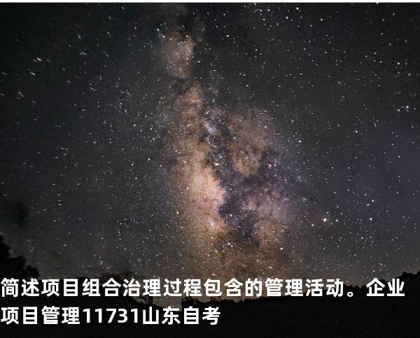 简述项目组合治理过程包含的管理活动。企业项目管理 11731 山东自考