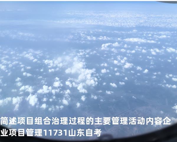 简述项目组合治理过程的主要管理活动内容 企业项目管理 11731 山东自考
