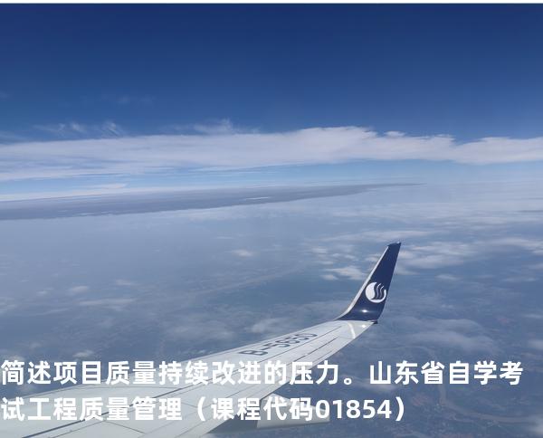 简述项目质量持续改进的压力。 山东省自学考试工程质量管理（课程代码 01854）