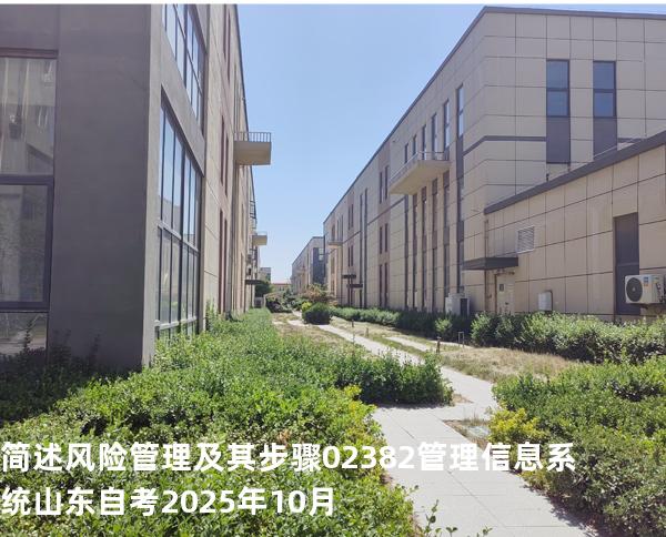 简述风险管理及其步骤  02382管理信息系统  山东自考2025年10月