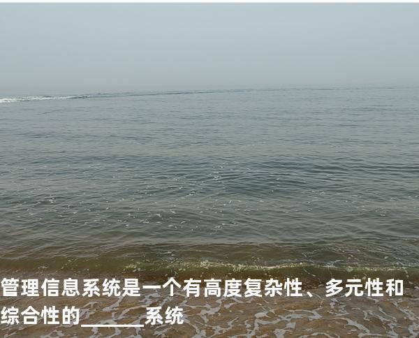 管理信息系统是一个有高度复杂性、多元性和综合性的______系统