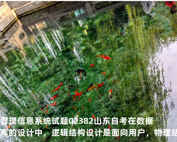 管理信息系统试题 02382 山东自考 在数据库的设计中，逻辑结构设计是面向用户，物理结构设计是面向