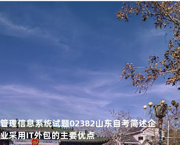 管理信息系统试题 02382 山东自考 简述企业采用IT外包的主要优点