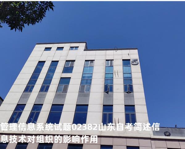 管理信息系统试题 02382 山东自考 简述信息技术对组织的影响作用