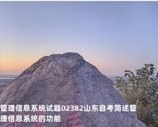 管理信息系统试题 02382 山东自考 简述管理信息系统的功能