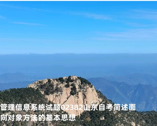 管理信息系统试题 02382 山东自考 简述面向对象方法的基本思想