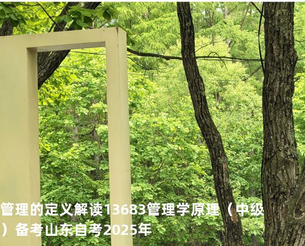 管理的定义解读  13683管理学原理（中级）备考山东自考2025年