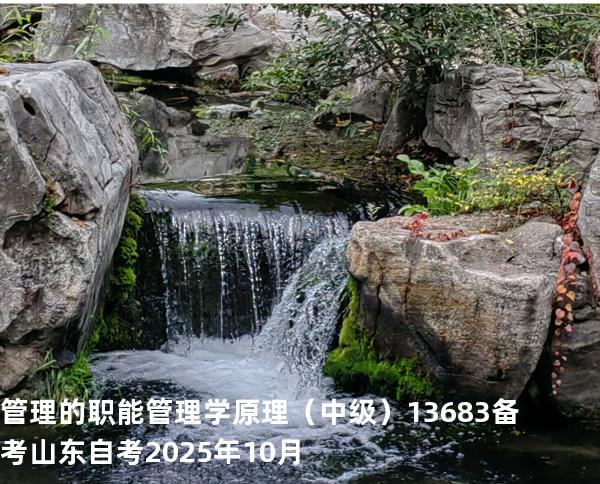 管理的职能 管理学原理（中级）13683备考山东自考2025年10月