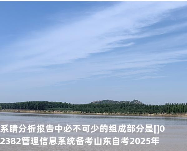 系睛分析报告中必不可少的组成部分是[]02382管理信息系统备考山东自考2025年
