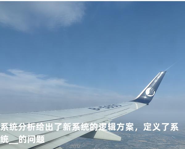 系统分析给出了新系统的逻辑方案，定义了系统__的问题