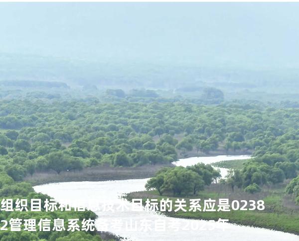 组织目标和信息技术目标的关系应是02382管理信息系统备考山东自考2025年