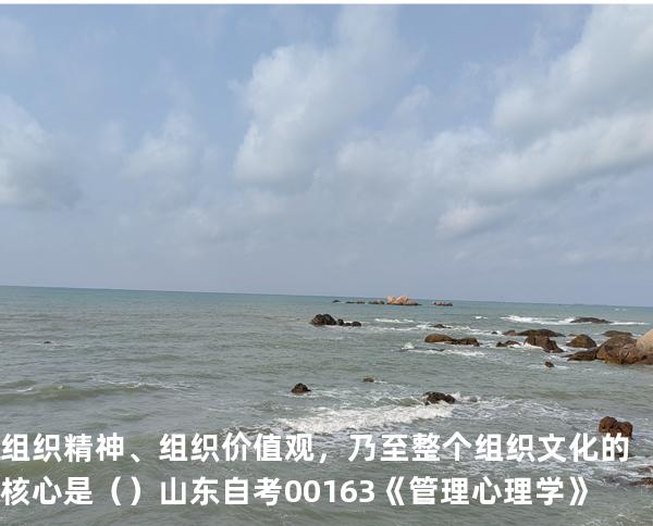 组织精神、组织价值观，乃至整个组织文化的核心是（ ）  山东自考00163《管理心理学》