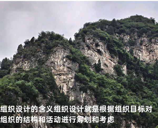 组织设计的含义 组织设计就是根据组织目标对组织的结构和活动 进行筹划和考虑