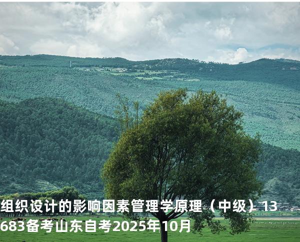 组织设计的影响因素管理学原理（中级）13683备考山东自考2025年10月