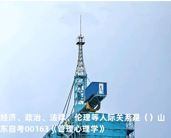 经济、政治、法律、伦理等人际关系是（ ）  山东自考00163《管理心理学》