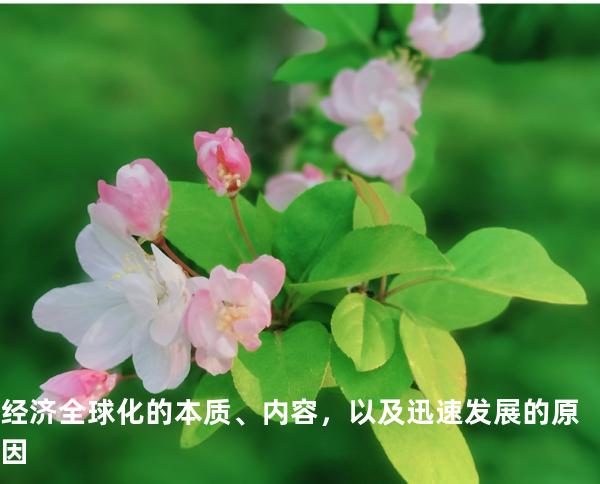 经济全球化的本质、内容，以及迅速发展的原因