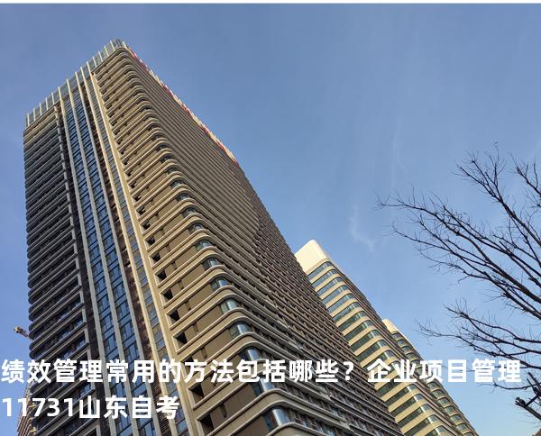 绩效管理常用的方法包括哪些？企业项目管理 11731 山东自考