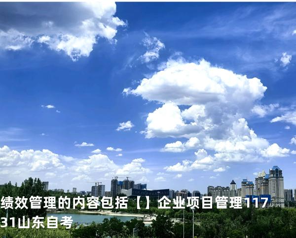 绩效管理的内容包括【】企业项目管理 11731 山东自考