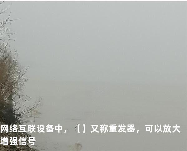 网络互联设备中，【】 又称重发器，可以放大增强信号