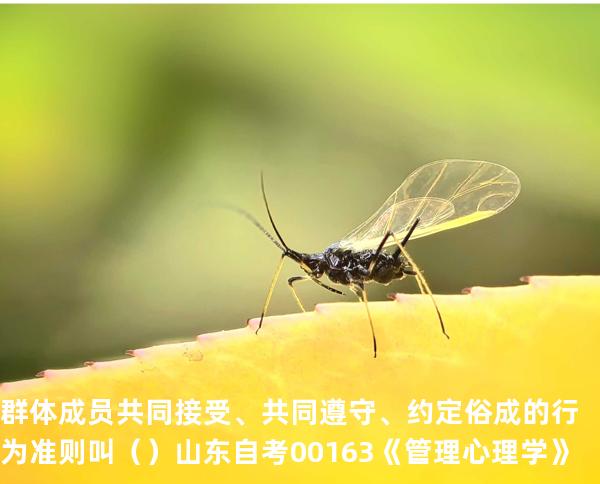 群体成员共同接受、共同遵守、约定俗成的行为准则叫   （ ）  山东自考00163《管理心理学》